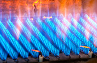 Levan gas fired boilers